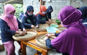 Kelompok Petani Kopi Wojo, Unit Pengolahan Hasil (UPH) Kopi Desa Carangwulung Kecamatan Wonosalam, Kabupaten Jombang. Ist