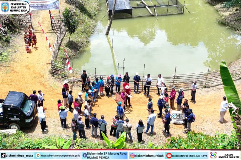 Bupati Heriyus Hadiri Panen Ikan Perdana BUMDes Hopakat Maju Bersama