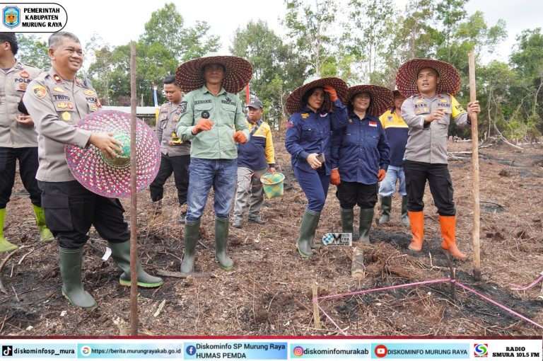 Dukung Swasembada Pangan, Pemkab Tanam Jagung Seretak di Murung Raya