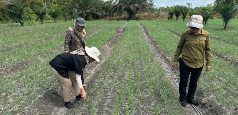 Pemko Palangka Raya Genjot Produksi Hortikultura Wujudkan Ketahanan Pangan