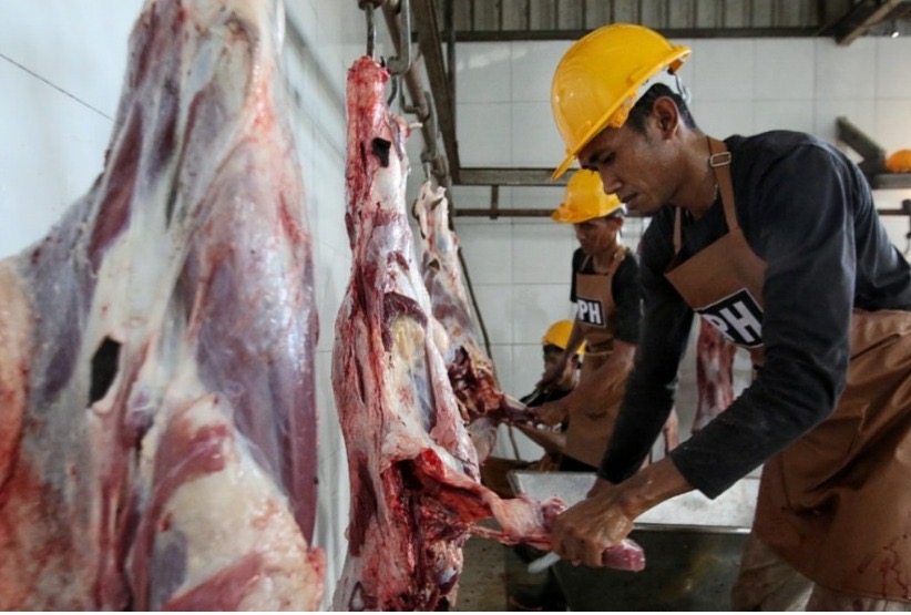 Distanketpang Palangka Raya Siapkan RPH untuk Layanan Penyembelihan Hewan Kurban